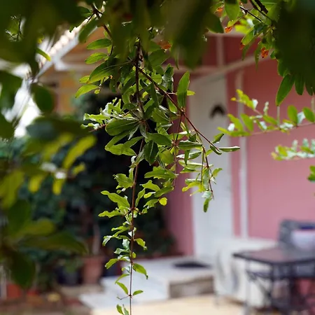 Casa Kobo Άγιος Ιωάννης
